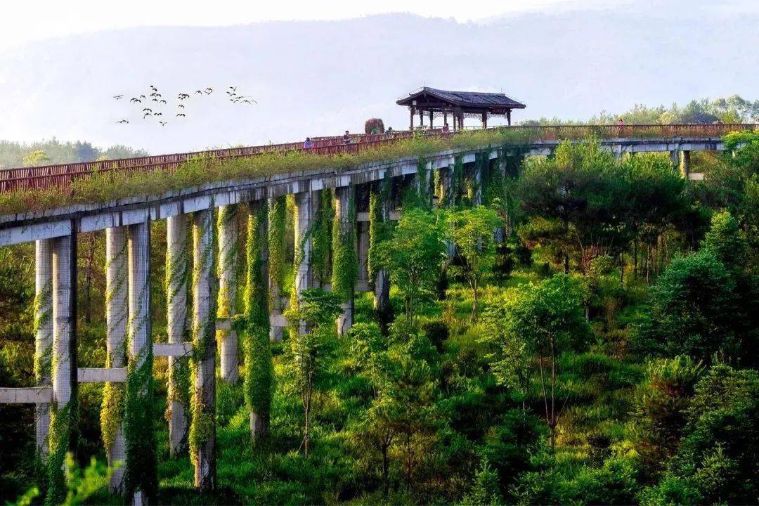 林女士时间:乘坐动车时间的7日之内享受千鹭湖景区首道门票免票动车
