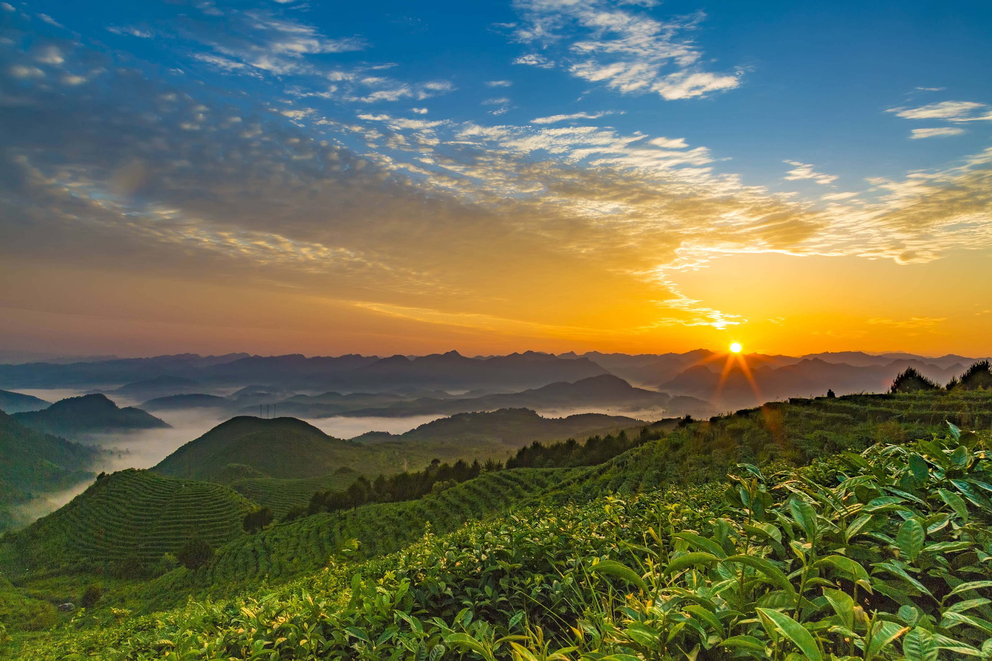 黔东南州:高效率组织"两山"基地创建_生态_实践_发展