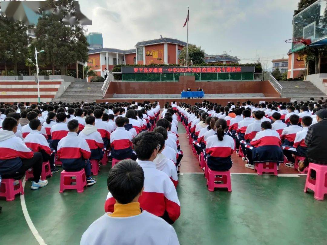 普法巡演——罗平县"普法 "赋能基层社会治理_工作_法治_群众