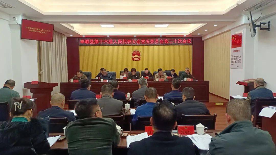 新任命一副县长_丰顺县_同志_会议