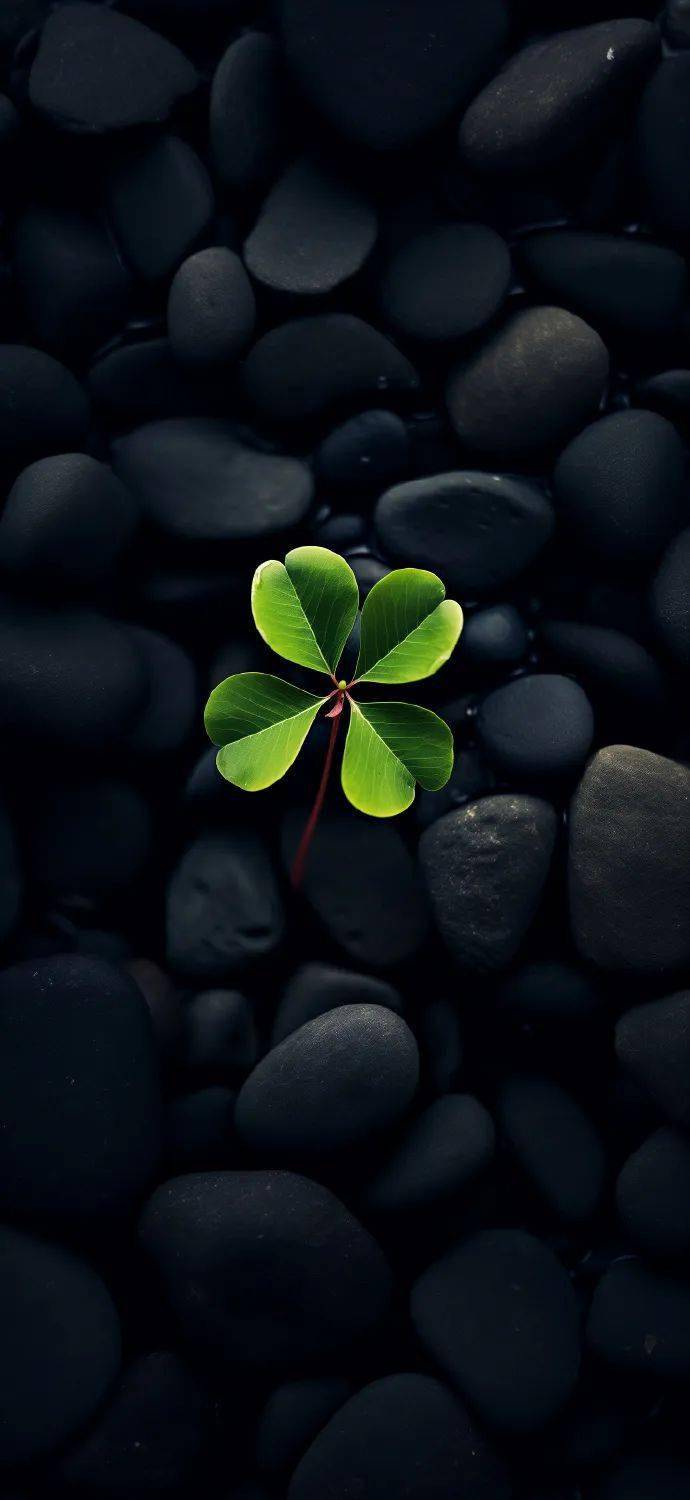 壁纸| 我确实没什么野心 就是做梦都想发财