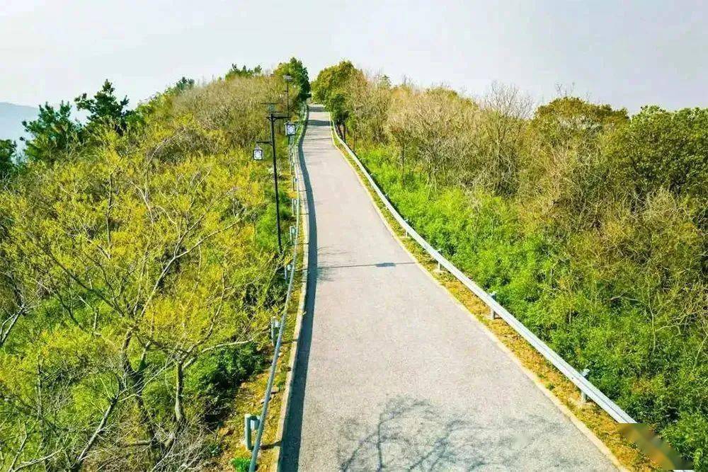 邓尉山森林步道姑苏区姑苏区虎丘环山森林步道,虎阜森林步道位于虎丘