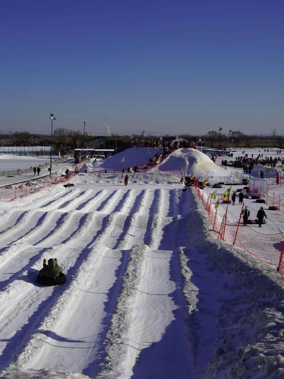 稻梦小镇上的"沧澜巨龙彩灯"也太酷啦!_沈阳_冰雪_烟花