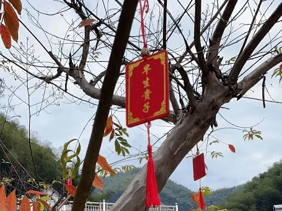 楼塔镇大黄岭村获评浙江省3a级景区村