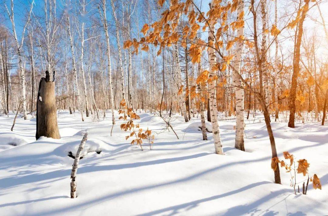 來訪 中東部降溫4~6℃ 全區整體波動升溫趨勢不變_氣溫_內蒙古_地區