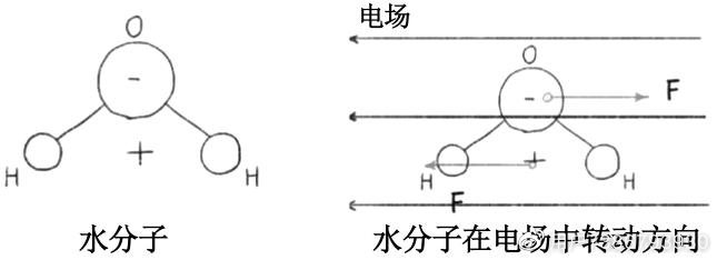 圖8 微波激發水分子高頻振動原理圖自然界中有很多能夠激發水分子高頻