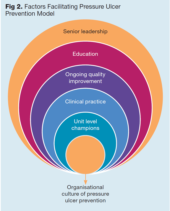 促進醫療機構形成壓力性潰瘍預防組織文化的關鍵因素_護理_變革_患者