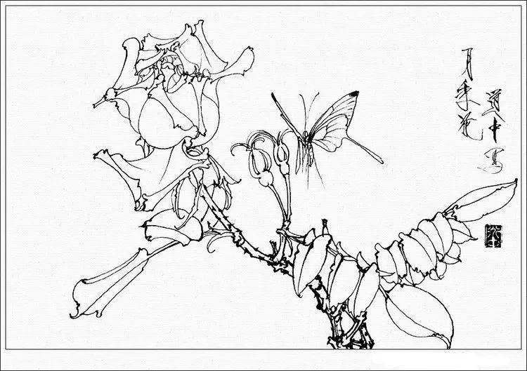 素材| 一组王道中白描花卉草虫画谱35图