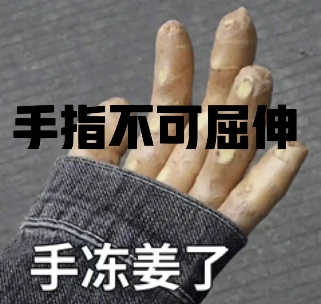 可屈伸(其实脚也不能),弗之怠(天天掰着手指头数日子当鞭策自己的驴)
