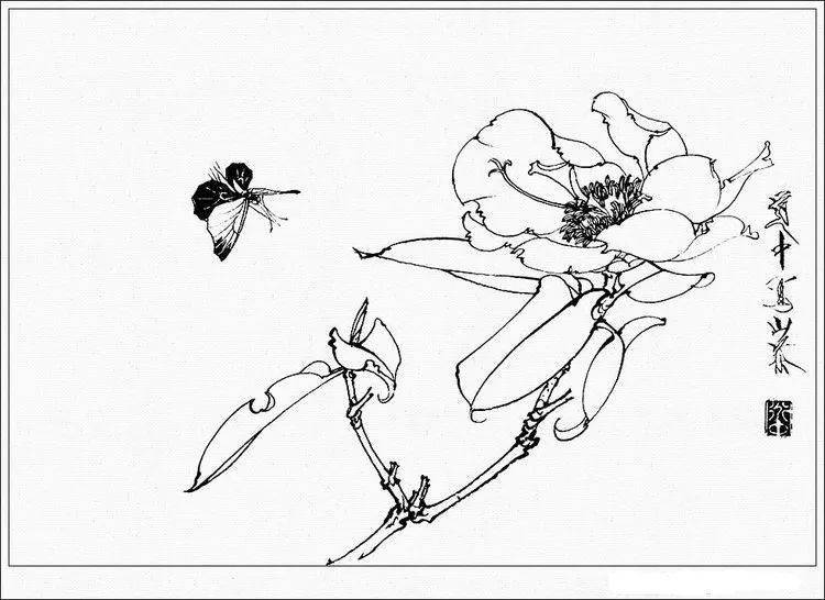 素材| 一组王道中白描花卉草虫画谱35图
