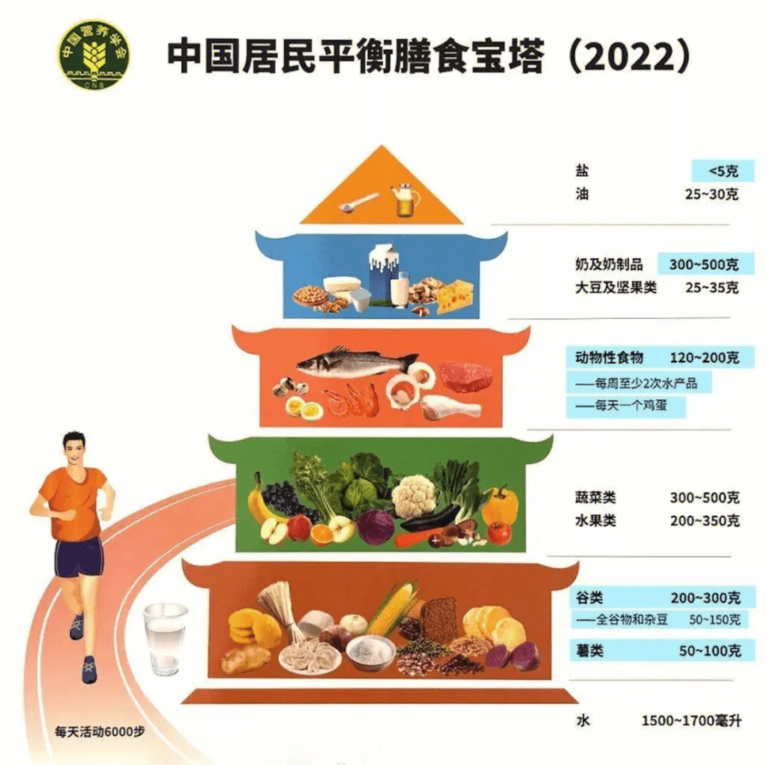 乾飯人→_主食_脂肪_能量