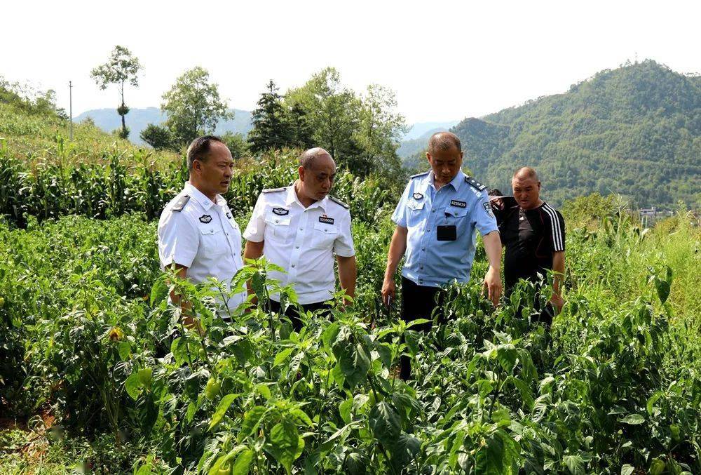 這是畢節監獄助力蘇嘎村