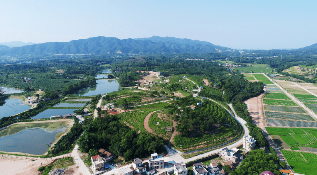 地豆镇"湾区客乡·畅享地豆"徒步活动等你来_四会市_水车_乡村