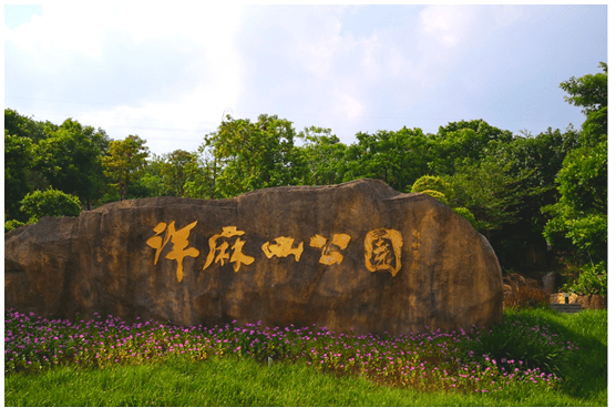 厦门独一份！乡野“温泉群”！快加入群聊→