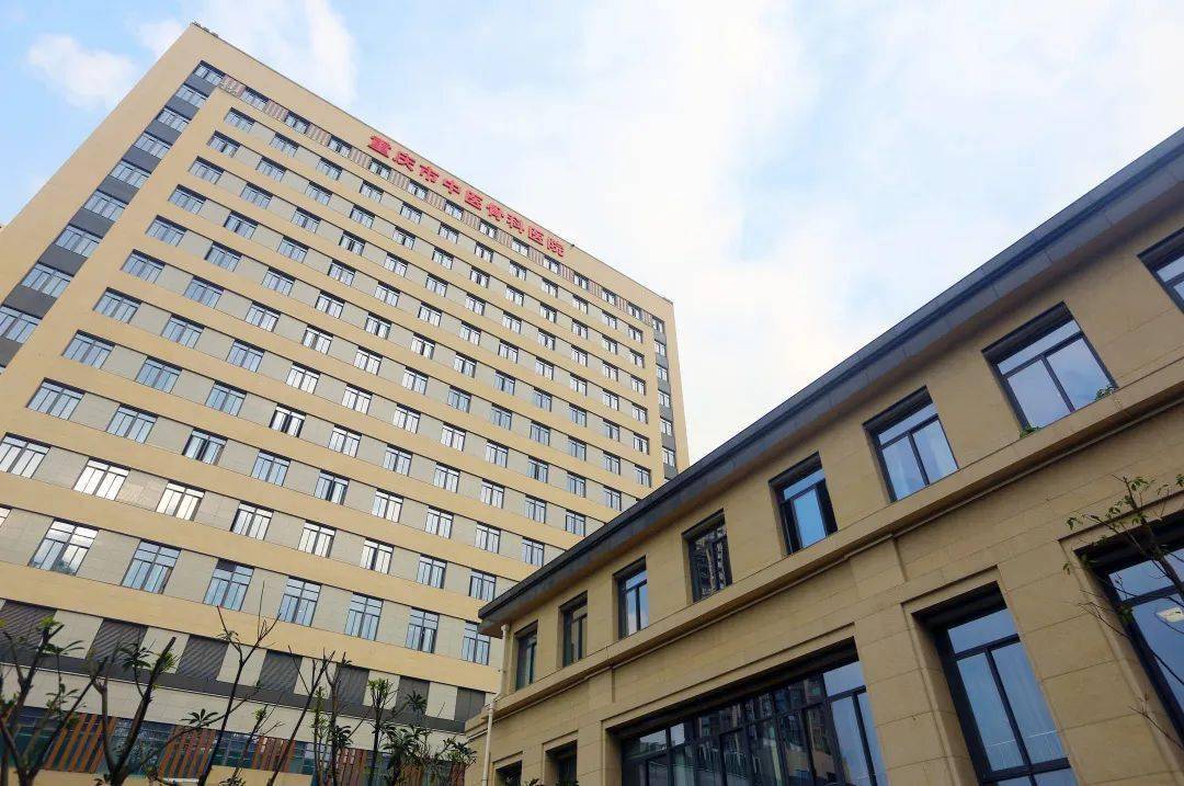 "民生清单"→"幸福账单" 渝中区15件重点民生实事总体推进顺利
