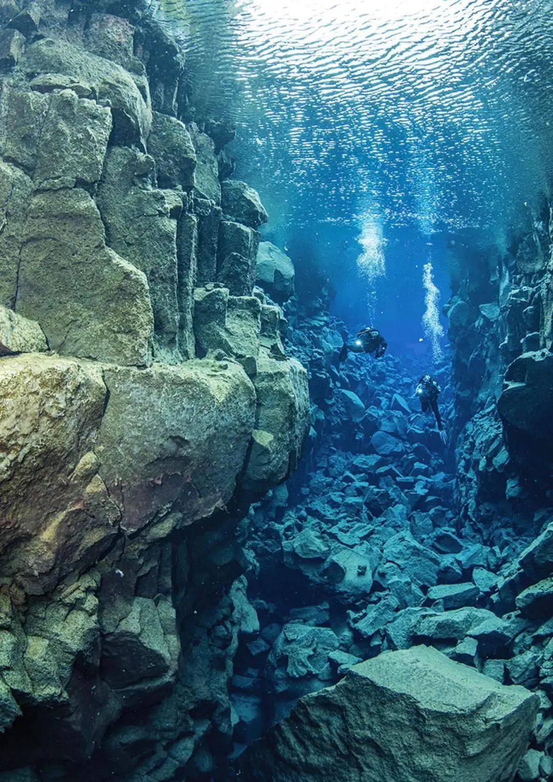 花少团冰岛潜水!隔着屏幕都感受到了快乐!