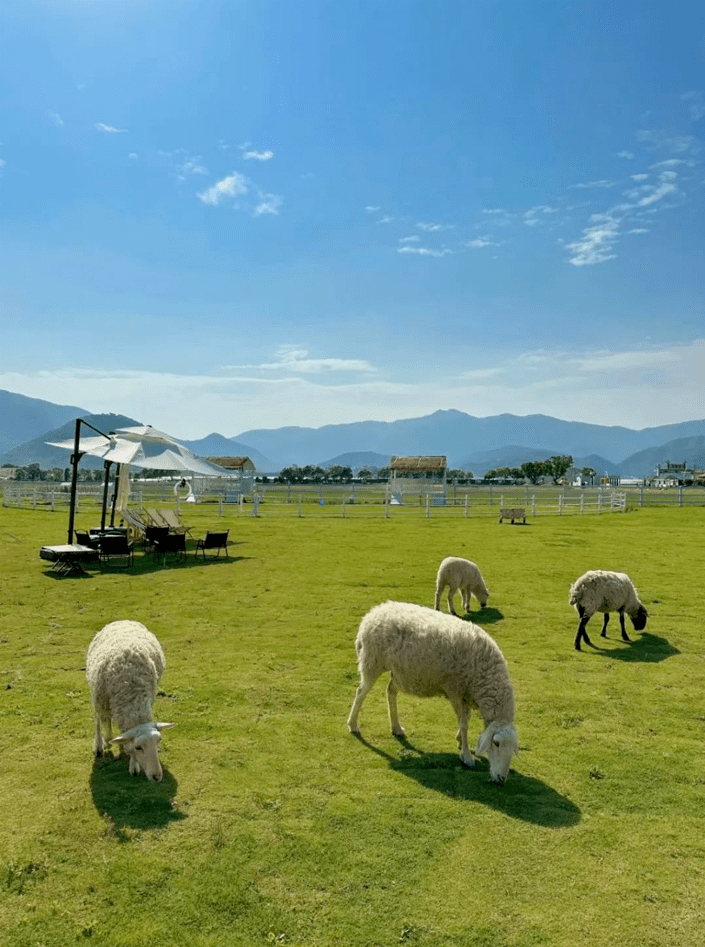 午餐後來到四季如畫的中魁村,感受愜意的田園風光.