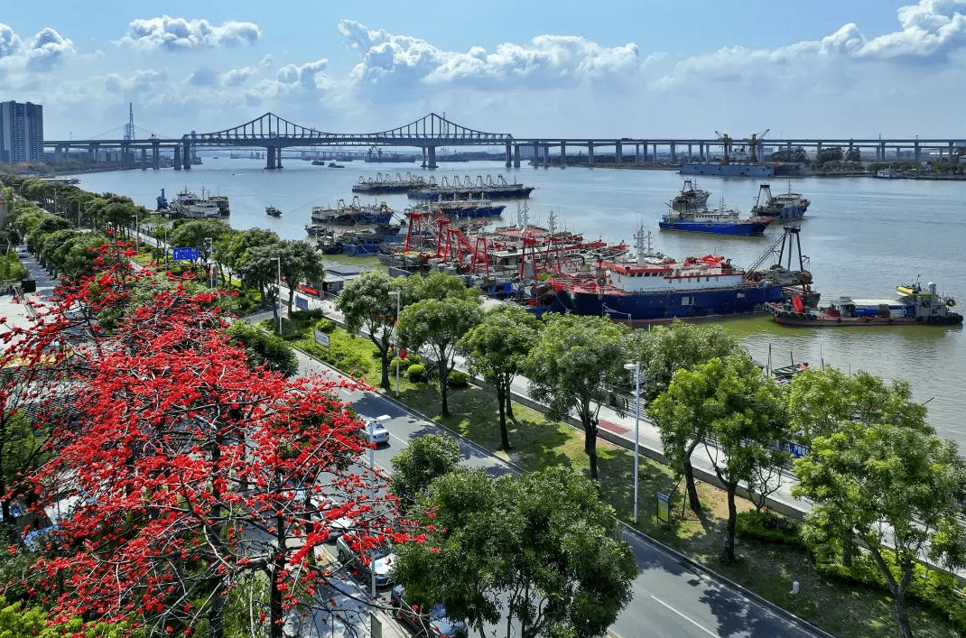 元旦小长假,来一场不一样的滨海水韵之旅吧(附精彩文化活动哦)_沙田