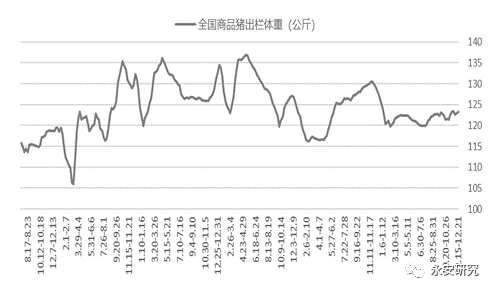 永安研究丨生豬:重心上移似共識 重點關注預期差_產能_養殖_價格