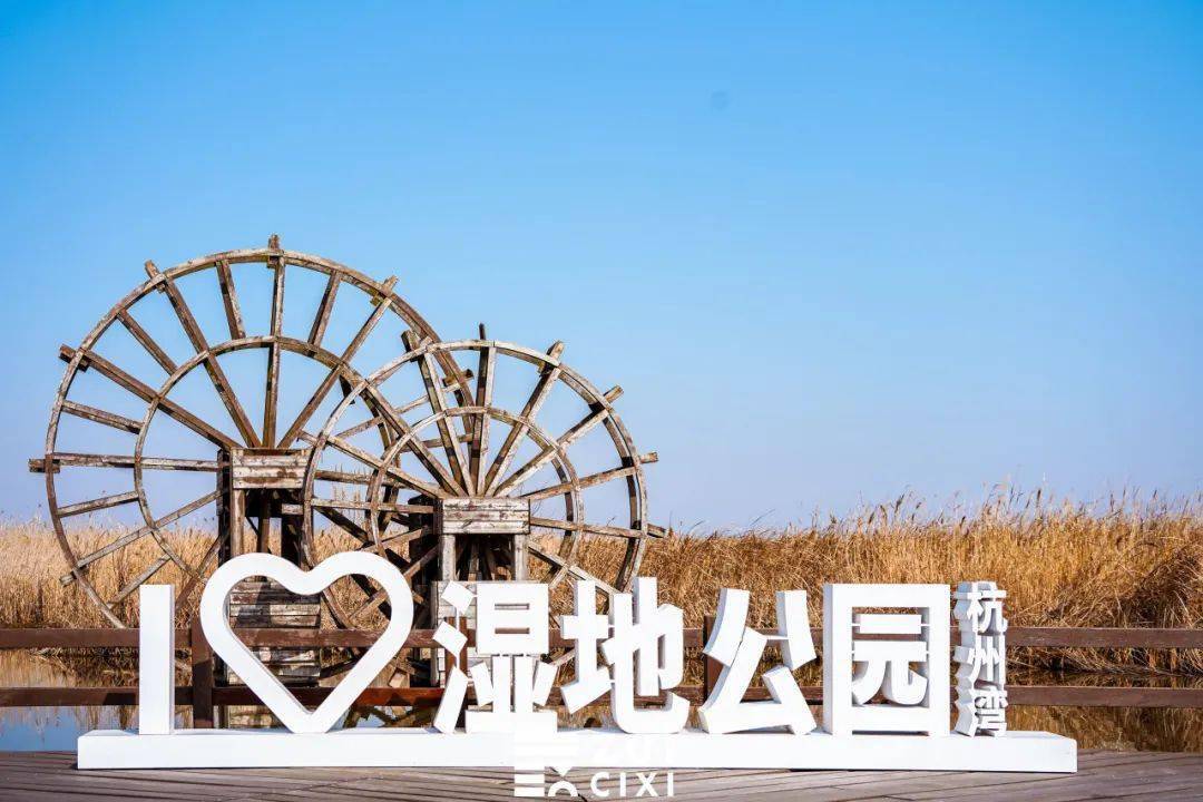 水杉,羊驼,候鸟……这个公园慈溪人超爱去!_湿地_芦苇荡_芦花