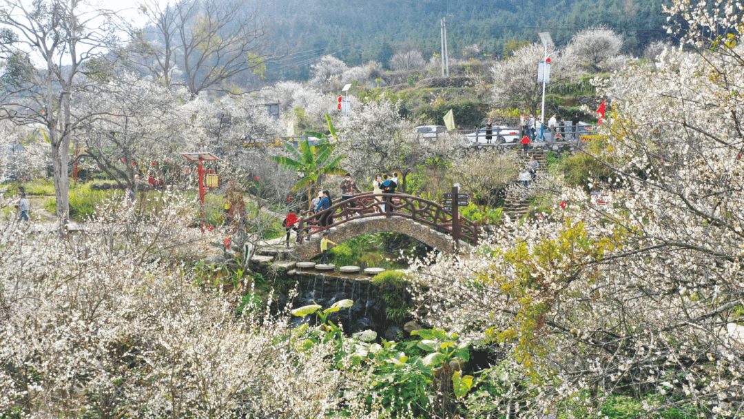 元旦假期南寧天氣預報,地鐵公交高鐵運行變化,打卡好去處……_時間