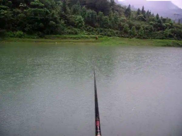 野河釣鯽,環境優美,恰似人間天堂,卻遭遇