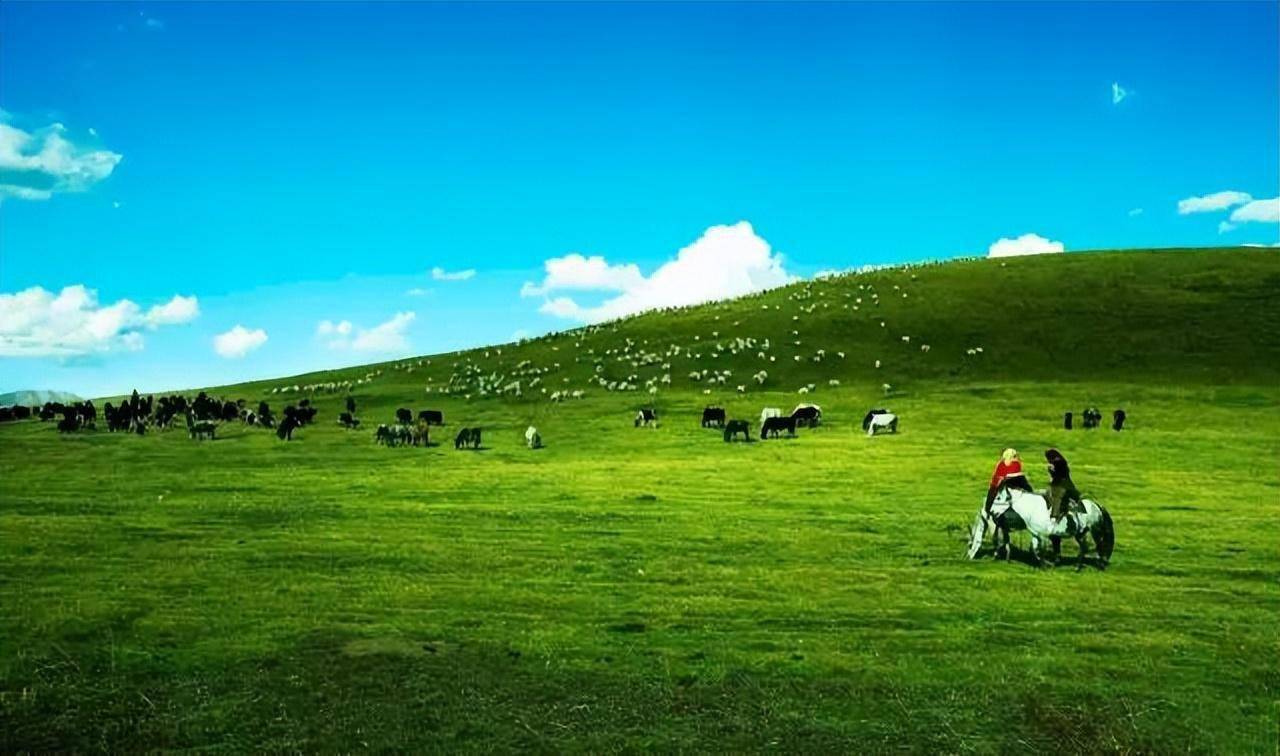 花湖湿地花湖又名美朵湖,位于四川省藏羌族自治州的若尔盖热尔大草原