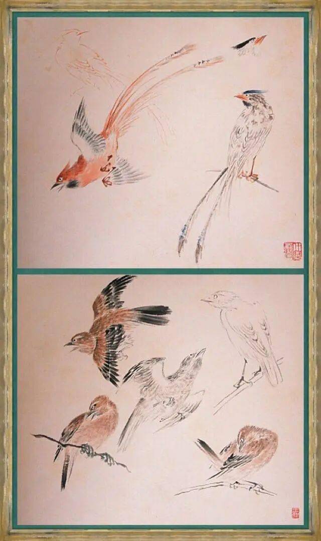 珍贵精品！王雪涛画鸟技法合集_搜狐网