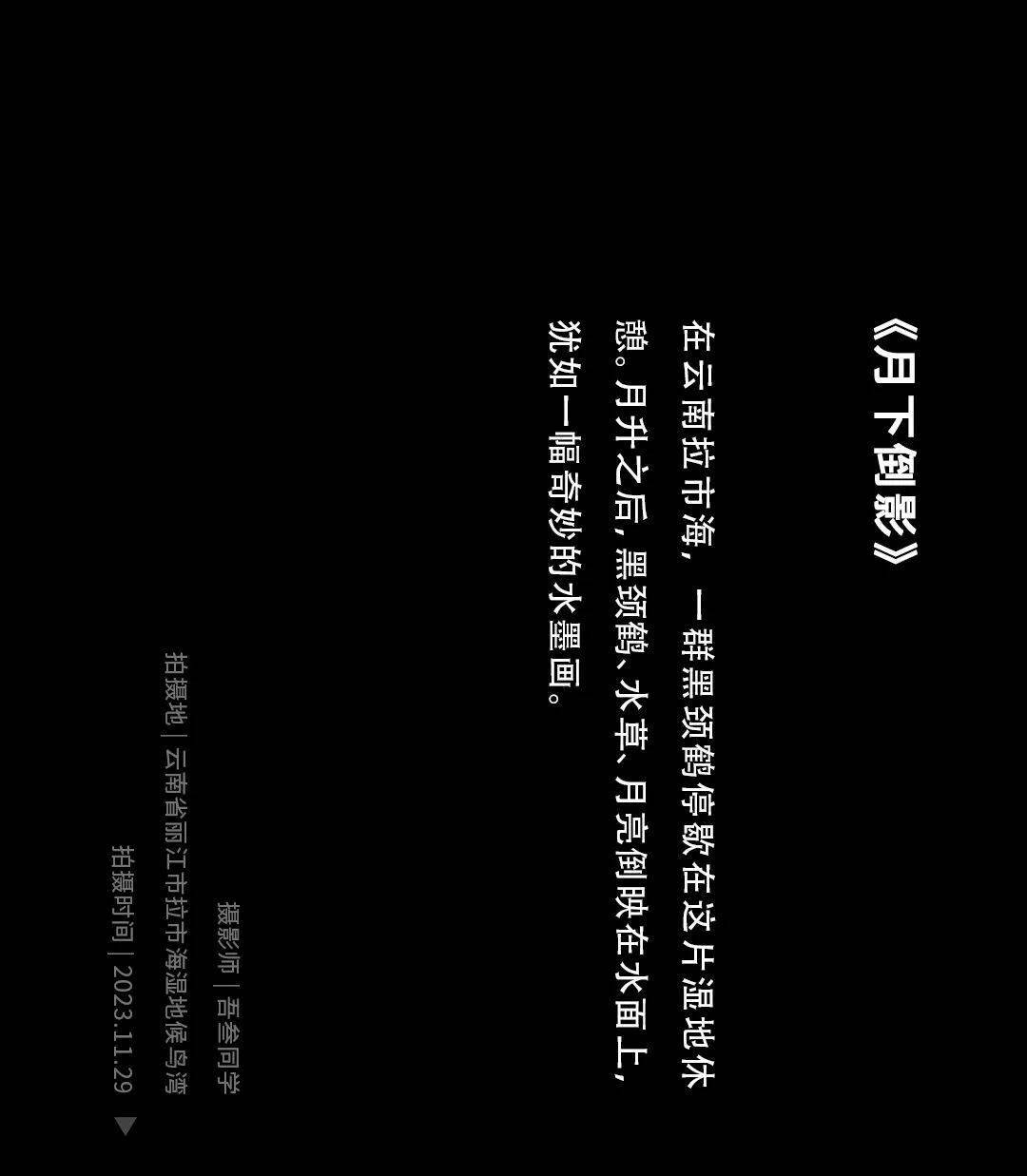 特辑:30张图,告别2023_星球_招聘_策划