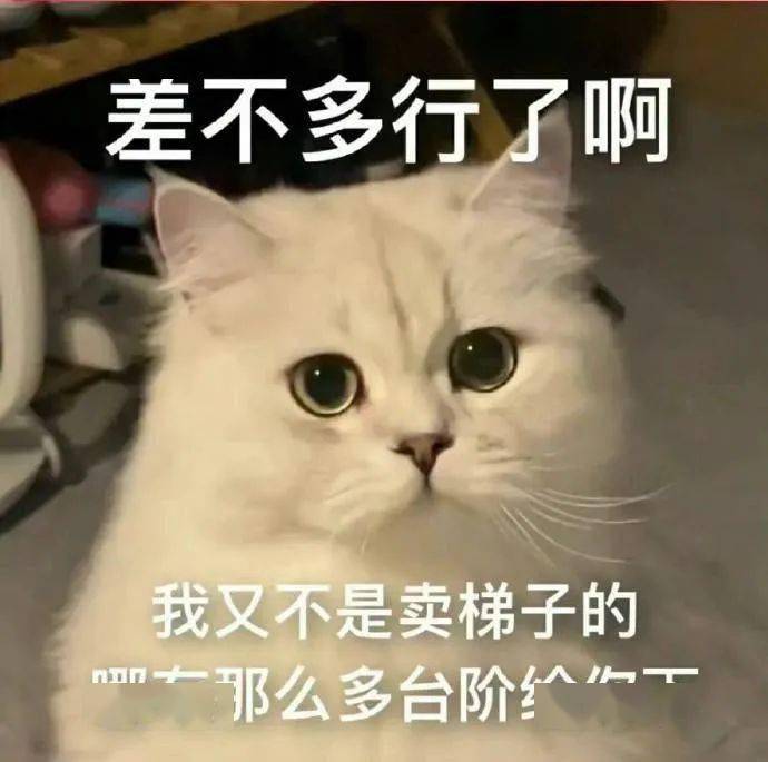 可愛動態表情包:看把你給能的_公眾_il_一個人