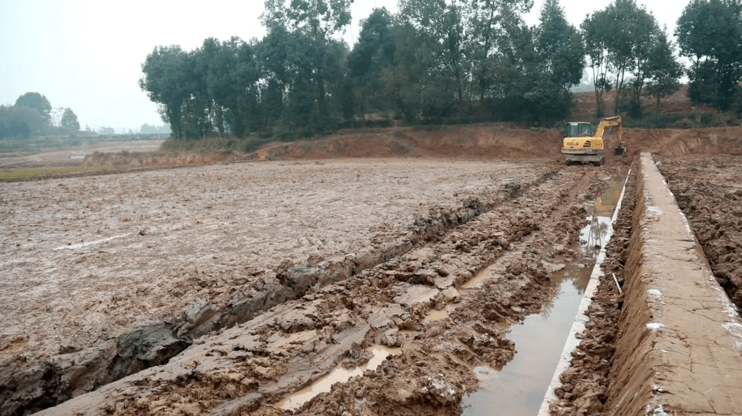 基层|合江县:建设高标准农田 打造宜居宜业和美乡村_农业_项目_的生产