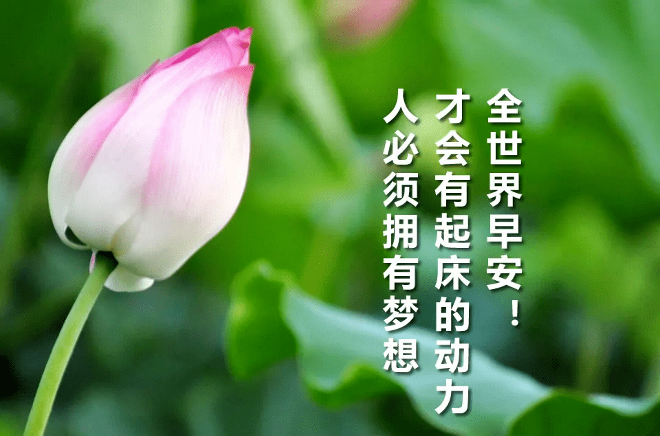 年初最火的一段话!_人生_生命_一生